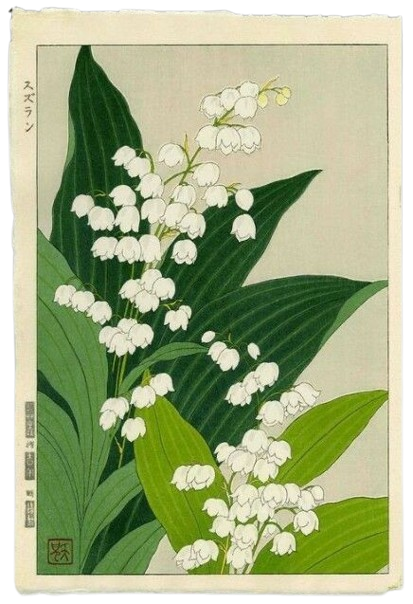estamflor